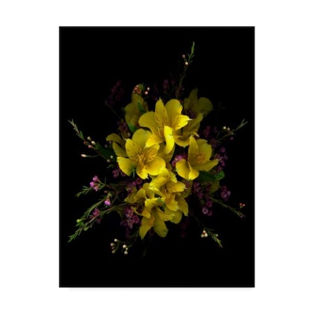 Susan S. Barmon 'Yellow Alstromeria And Wax Flower' Canvas Art,18x24